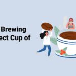 1711580435 Guide To Brewing The Perfect Cup of Coffee